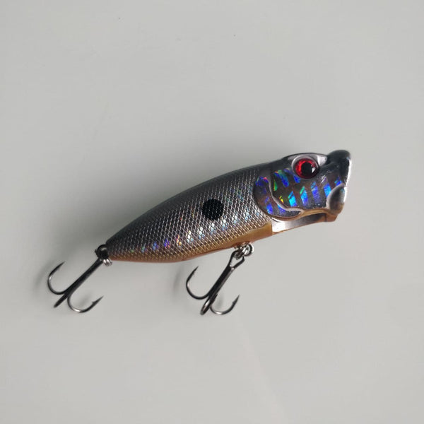 Orange Bellied Popper 67