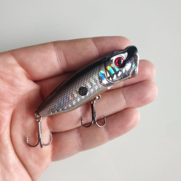 Orange Bellied Popper 67