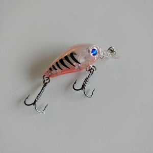 Translucent Salmon Fade Crankbait 46